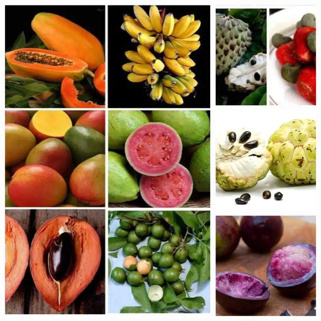 Frutas de Cuba
